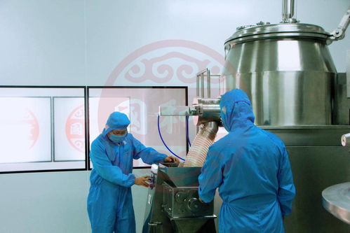 山東國和堂投資2000萬建立健康飲品生產線